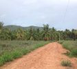Pranburi land for sale